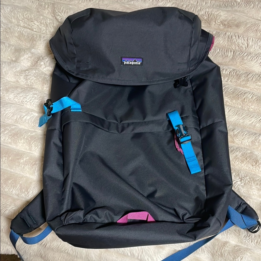 Patagonia Blue Backpack with Magenta Accents